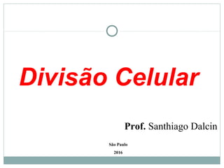 São Paulo
2016
Prof. Santhiago Dalcin
Divisão Celular
 