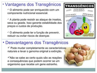 • Desvantagens dos Transgênicos
 Pode mudar completamente as características
naturais e levar o genoma original a extinção.
Não se sabe ao certo quais são as reações
e consequências que podem ocorrer se um
organismo que recebe um gene estranho.
• Vantagens dos Transgênicos
 O alimento pode ser enriquecido com um
componente nutricional essencial.
 A planta pode resistir ao ataque de insetos,
seca ou geada. Isso garante estabilidade dos
preços e custos de produção.
 O alimento pode ter a função de prevenir,
reduzir ou evitar riscos de doenças
 
