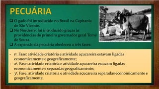  O gado foi introduzido no Brasil na Capitania
de São Vicente.
 No Nordeste, foi introduzido graças às
providências do primeiro governador geral Tomé
de Souza.
 A expansão da pecuária obedeceu a três fases:
‐ 1ª. Fase: atividade criatória e atividade açucareira estavam ligadas
economicamente e geograficamente;
‐ 2ª. Fase: atividade criatória e atividade açucareira estavam ligadas
economicamente e separadas geograficamente;
‐ 3ª. Fase: atividade criatória e atividade açucareira separadas economicamente e
geograficamente.
 