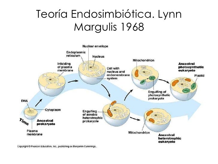 BIOLOGÍA