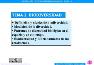 ZOOLOGÍA, FACULTAD DE CIENCIAS, UDC
CONSERVACIÓN Y EXPLOTACIÓN DE RECURSOS ANIMALES > TEMA 2 > 1
TEMA 2. BIODIVERSIDAD
• Definición y niveles de biodiversidad.
• Medición de la diversidad.
• Patrones de diversidad biológica en el
espacio y en el tiempo.
• Biodiversidad y funcionamiento de los
ecosistemas.
http://creativecommons.org/licenses/by/2.0/es/
 