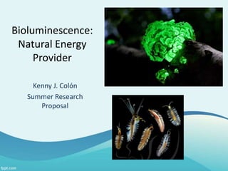 Bioluminescence:
Natural Energy
Provider
Kenny J. Colón
Summer Research
Proposal
 
