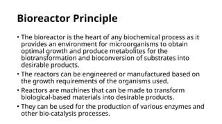 Comprehensive Guide to Bioreactor Design and Development in ...