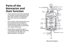 Comprehensive Guide to Bioreactor Design and Development in ...