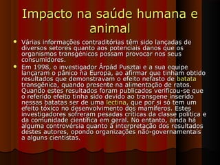 Impacto na saúde humana eImpacto na saúde humana e
animalanimal
 Várias informações contraditórias têm sido lançadas deVárias informações contraditórias têm sido lançadas de
diversos setores quanto aos potenciais danos que osdiversos setores quanto aos potenciais danos que os
organismos transgénicos possam provocar nos seusorganismos transgénicos possam provocar nos seus
consumidores.consumidores.
 Em 1998, o investigador Árpád Pusztai e a sua equipeEm 1998, o investigador Árpád Pusztai e a sua equipe
lançaram o pânico na Europa, ao afirmar que tinham obtidolançaram o pânico na Europa, ao afirmar que tinham obtido
resultados que demonstravam o efeito nefasto deresultados que demonstravam o efeito nefasto de batatabatata
transgênica, quando presente na alimentação de ratos.transgênica, quando presente na alimentação de ratos.
Quando estes resultados foram publicados verificou-se queQuando estes resultados foram publicados verificou-se que
o referido efeito tinha sido devido ao transgene inseridoo referido efeito tinha sido devido ao transgene inserido
nessas batatas ser de umanessas batatas ser de uma lectinalectina, que por si só tem um, que por si só tem um
efeito tóxico no desenvolvimento dos mamíferos. Estesefeito tóxico no desenvolvimento dos mamíferos. Estes
investigadores sofreram pesadas críticas da classe política einvestigadores sofreram pesadas críticas da classe política e
da comunidade científica em geral. No entanto, ainda háda comunidade científica em geral. No entanto, ainda há
alguma controvérsia quanto à interpretação dos resultadosalguma controvérsia quanto à interpretação dos resultados
destes autores, opondo organizações não-governamentaisdestes autores, opondo organizações não-governamentais
a alguns cientistas.a alguns cientistas.
 