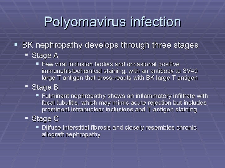 2 bk virus infection post renal transplant