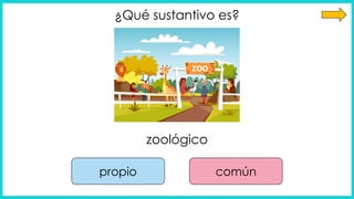 ¿Qué sustantivo es?
propio común
zoológico
 