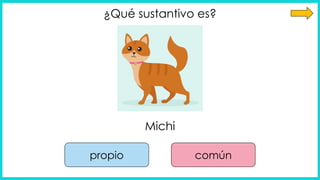 ¿Qué sustantivo es?
Michi
propio común
 