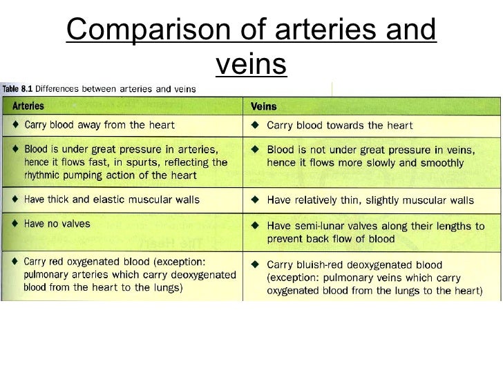 Chapter 8 Transport In Humans Lesson 2 Types Of Blood Vessels Chapter 8 Transport In Humans Lesson 2 Types Of Blood Vessels