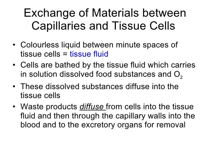 Chapter 8 Transport in Humans Lesson 2 Types of blood vessels