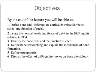 Comprehensive Overview of Bone Structure, Physiology, and Calcium ...