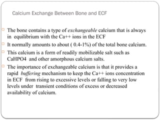 Comprehensive Overview of Bone Structure, Physiology, and Calcium ...