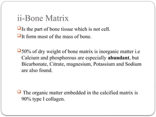 Comprehensive Overview of Bone Structure, Physiology, and Calcium ...