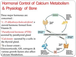 Comprehensive Overview of Bone Structure, Physiology, and Calcium ...