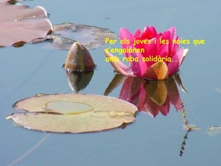 Per als joves i les noies que
s’engalanen
amb roba solidària...

 