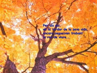 Per als qui,
en la tardor de la seva vida,
encara segueixen trobant
la raó de viure...

 