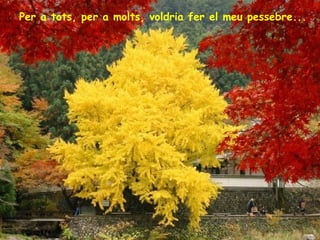 Per a tots, per a molts, voldria fer el meu pessebre...

 