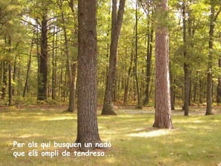 Per als qui busquen un nadó
que els ompli de tendresa...

 