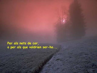 Per als nets de cor,
o per als que voldrien ser-ho...

 