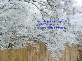 Per als qui van repartint,
en la foscor,
la seva càlida mirada...

 