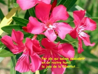 Per als qui saben descobrir
en un rostre humà
la joia de la llibertat...

 