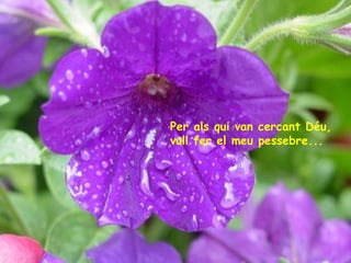 Per als qui van cercant Déu,
vull fer el meu pessebre...

 