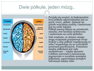 Patrycja Dorosiewicz, Magdalena Cudak 2B | PPSX