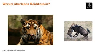 © BPM Praxistag 2014 - BPM in der Cloud 
WarumüberlebenRaubkatzen?  