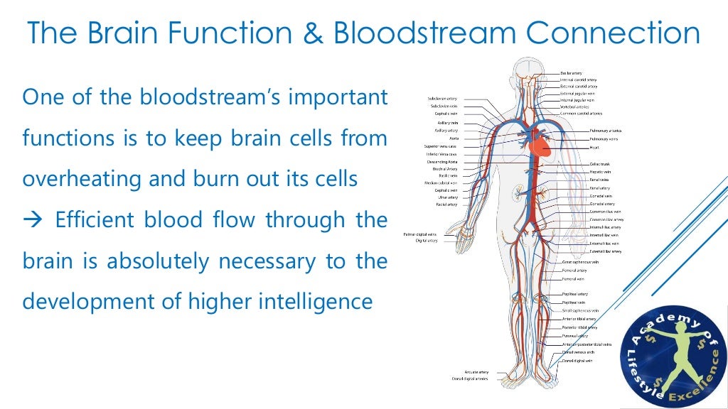 Brain Health and Essential Fatty Acids