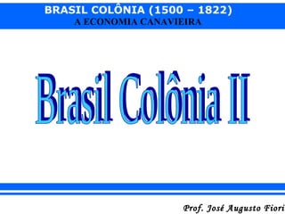 BRASIL COLÔNIA (1500 – 1822)
A ECONOMIA CANAVIEIRA

Prof. José Augusto Fiorin

 
