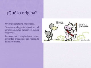 ¿Qué lo origina?
-Un prión (proteína infecciosa).
-Semejante al agente infeccioso del
Scrapie o prurigo lumbar en ovinos
y caprinos.
-Las vacas se contagiarían al comer
alimentos producidos con restos de
éstos anteriores.
 