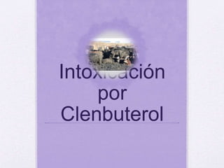 Intoxicación
por
Clenbuterol
 
