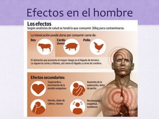 Efectos en el hombre
 