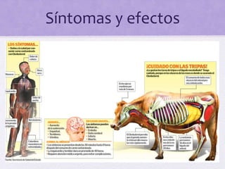 Síntomas y efectos
 