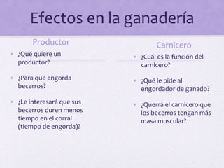 Efectos en la ganadería
Productor
• ¿Qué quiere un
productor?
• ¿Para que engorda
becerros?
• ¿Le interesará que sus
becerros duren menos
tiempo en el corral
(tiempo de engorda)?
Carnicero
• ¿Cuál es la función del
carnicero?
• ¿Qué le pide al
engordador de ganado?
• ¿Querrá el carnicero que
los becerros tengan más
masa muscular?
 