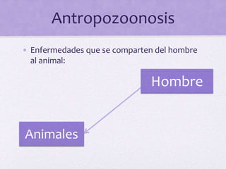 Antropozoonosis
• Enfermedades que se comparten del hombre
al animal:
Animales
Hombre
 