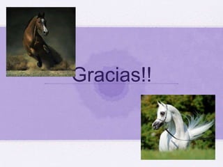 Gracias!!
 
