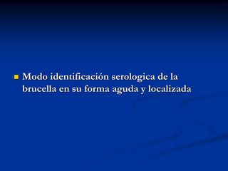 

Modo identificación serologica de la
brucella en su forma aguda y localizada

 