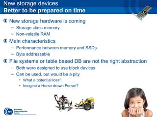 New storage devices
Better to be prepared on time
New storage hardware is coming
– Storage class memory
– Non-volatile RAM
Main characteristics
– Performance between memory and SSDs
– Byte addressable
File systems or table based DB are not the right abstraction
– Both were designed to use block devices
– Can be used, but would be a pity
• What a potential loss!!
• Imagine a Horse-drawn Ferrari?
 