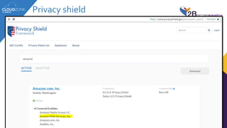 Privacy shield
 