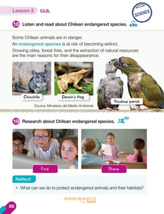 Lesson 2 CLIL
Listen and read about Chilean endangered species. 39
Research about Chilean endangered species.
18
19
Activity book
Page 31
Find. Share.
Some Chilean animals are in danger.
An endangered species is at risk of becoming extinct.
Growing cities, forest fires, and the extraction of natural resources
are the main reasons for their disappearance.
Source: Ministerio del Medio Ambiente
Tricahue parrot
Darwin's frog
Chinchilla
SCIENCE
•	 What can we do to protect endangered animals and their habitats?
Reflect!
66
 