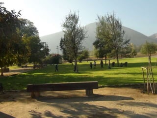 2° básico museo andino