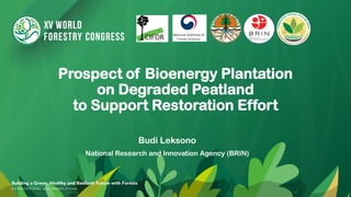 Prospect of Bioenergy Plantation
on Degraded Peatland
to Support Restoration Effort
Budi Leksono
National Research and Innovation Agency (BRIN)
 