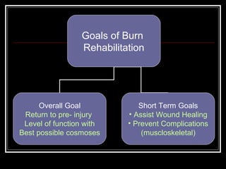 Goals of Burn
                 Rehabilitation




      Overall Goal            Short Term Goals
 Return to pre- injury     • Assist Wound Healing
 Level of function with    • Prevent Complications
Best possible cosmoses         (muscloskeletal)
 