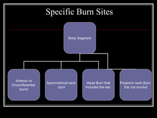 Specific Burn Sites

                              Body Segment




   Anterior or
                  Asymmetrical neck     Head Burn that    Posterior neck Burn
Circumferential
                       burn            Includes the ear     Ear not involvd
     burns
 