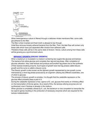 When heterogeneous culture is filtered through a cellulose nitrate membrane filter, some cells
get adhered to the filter.
The filter is then inverted and fresh broth is allowed to low through.
Initial flow removes loosely adhered bacteria from the filter. Then, the later flow will contain only
these cells which have just separated after division from adherent cells.
Therefore these cells will be in the same state of division. Hence, culture arising from these cells
will be growing as a synchronized culture.
BIPHASIC GROWTH (DIAUXIC GROWTH)
When a bacterium is incubated in a medium containing two sugars like glucose and lactose.
The bacteria first utilize glucose and complete their lag and log phase. After completion of
glucose utilization, they used lactose and produce and another lag phase due to the synthesis
of their lactose breaking enzyme. Such types of growth have two lag phases called diauxic
growth and the curve is called a diauxic curve.
The Diauxic growth is also known as the diphasic growth represented by two growth curves
intervened by a short lag phase produced by an organism utilizing two different substrates, one
of which is glucose.
The process of diauxic growth is complex, it is thought that the catabolite repression or the
glucose effect probably plays a part in it.
During the catabolite repression of lac- operon of E. coli, glucose first exerts an inhibitory effect
on the transcription of the lac genes. As a result of this, the lactose-utilizing enzymes are not
synthesized, even if lactose is already in the medium.
When glucose is completely utilized by E. coli, the bacterium is now competent to transcribe the
lac-operon genes resulting in the production of necessary enzymes which are required for the
lactose metabolization.
 