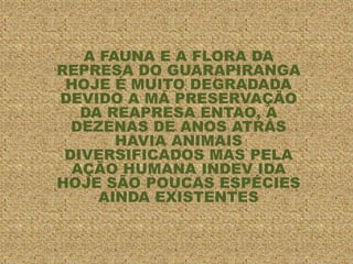 A FAUNA E A FLORA DA
REPRESA DO GUARAPIRANGA
HOJE É MUITO DEGRADADA
DEVIDO A MÁ PRESERVAÇÃO
DA REAPRESA ENTAO, A
DEZENAS DE ANOS ATRÁS
HAVIA ANIMAIS
DIVERSIFICADOS MAS PELA
AÇÃO HUMANA INDEV IDA
HOJE SÃO POUCAS ESPÉCIES
AINDA EXISTENTES
