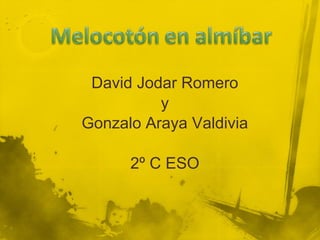 David Jodar Romero y Gonzalo Araya Valdivia 2º C ESO 
