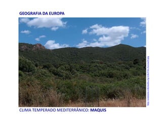 CLIMA TEMPERADO MEDITERRÂNICO: MAQUIS
GEOGRAFIA DA EUROPA
http://commons.wikimedia.org/wiki/File:Arcosu24.jpg
 
