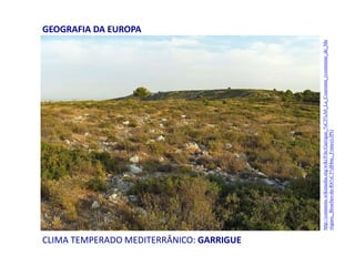 CLIMA TEMPERADO MEDITERRÂNICO: GARRIGUE
GEOGRAFIA DA EUROPA
http://commons.wikimedia.org/wiki/File:Garrigue_%C3%A0_La_Couronne_(commune_de_Ma
rtigues,_Bouches-du-Rh%C3%B4ne,_France).JPG
 